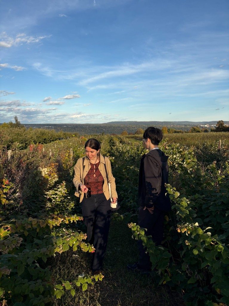 Two lab members talking between rows of raspberry bushes, with a view over the valley behind them