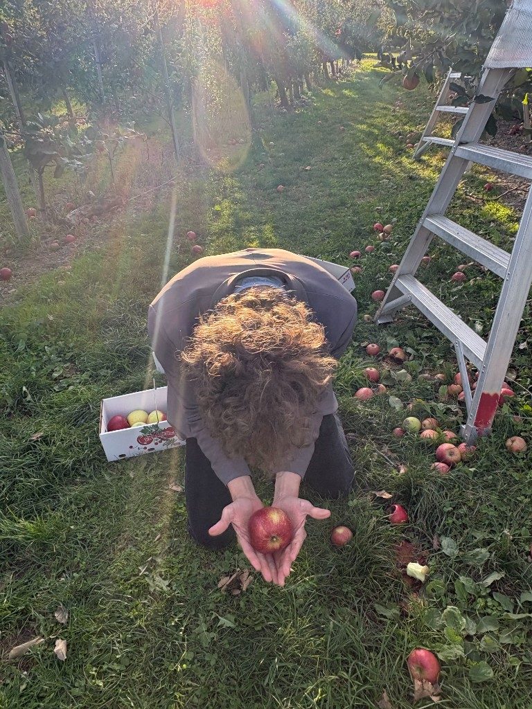A lab member kneeling in the orchard grass, holding out a red apple in both hands