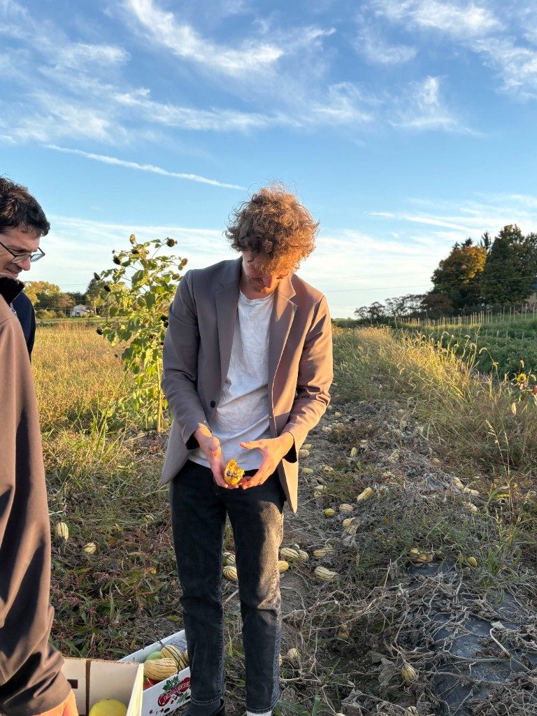 A lab member looking down at a small squash in their hands in the squash field