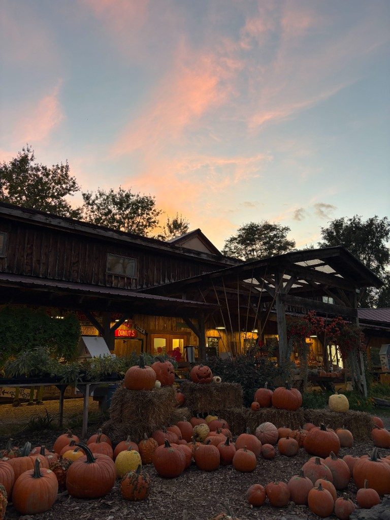 Pumpkins on hay bales in front of the farm stand at sunset