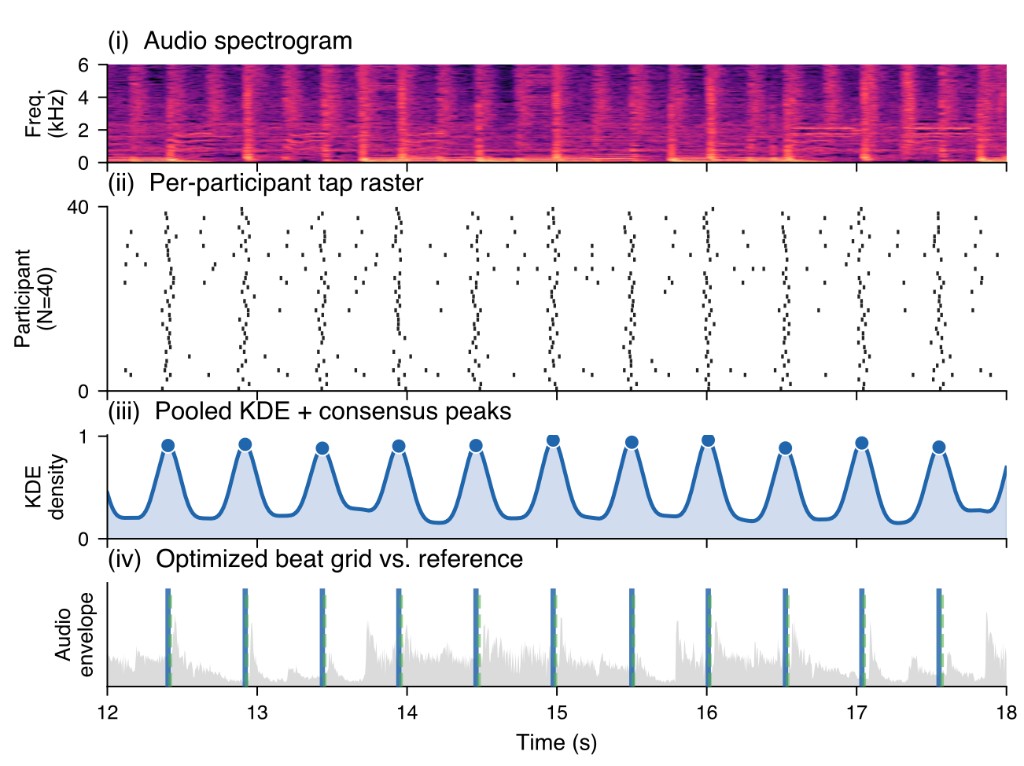 From audio to validated beat grid