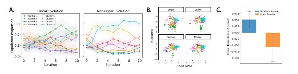 Comparison of linear and networked cultural evolution